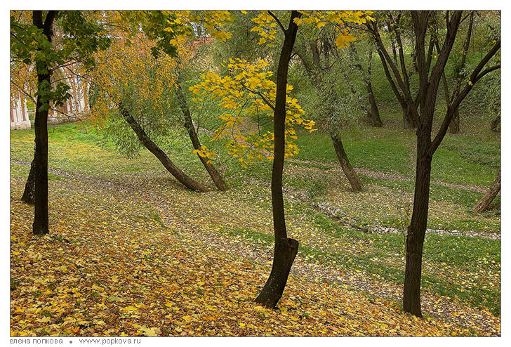 Осень в Царицыно