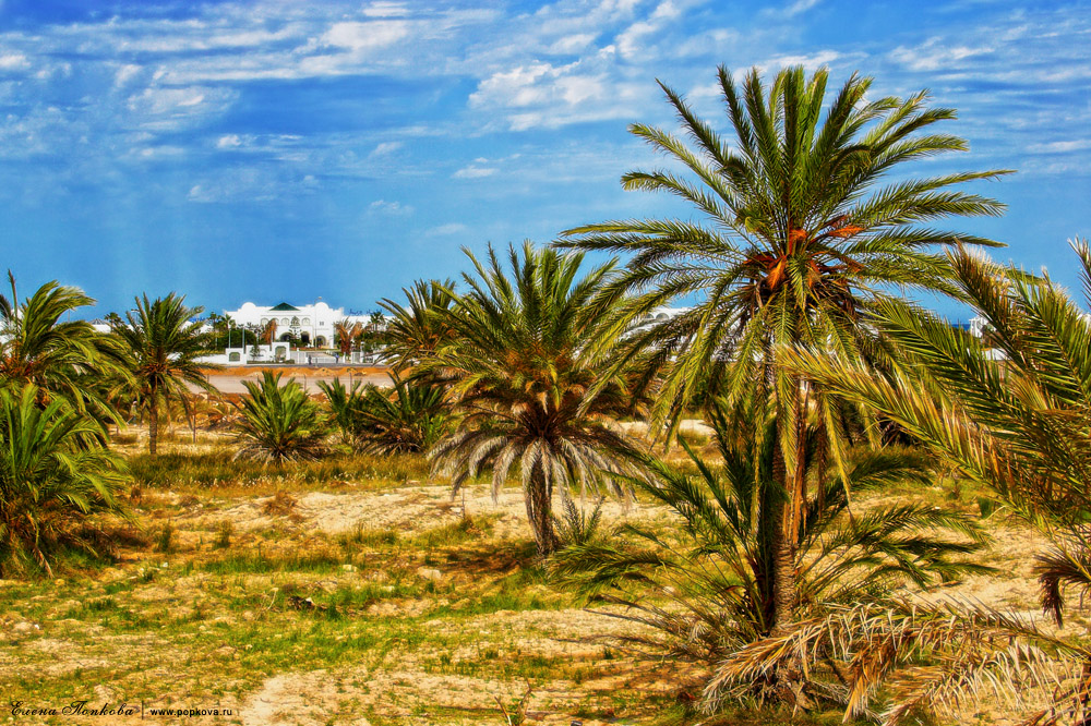 Tunisia, island Dzherba
