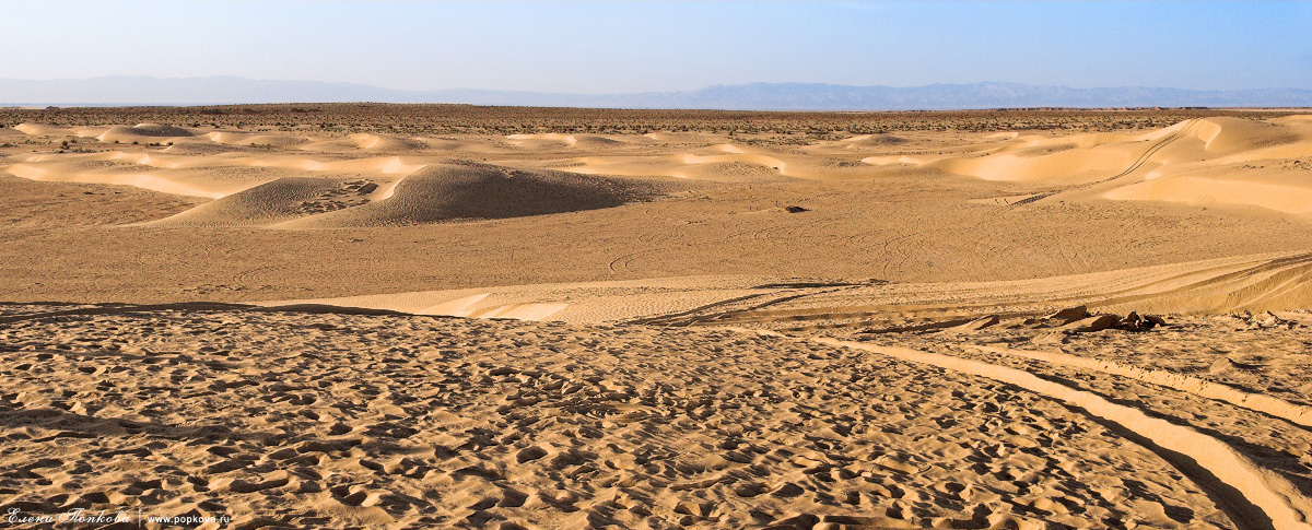 Tunisia, Sahara. Traces on sand
