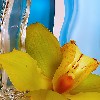 Натюрморт
Желтая орхидея