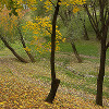 Autumn in Tsaritsino