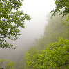 Пейзаж
Водопад в тумане